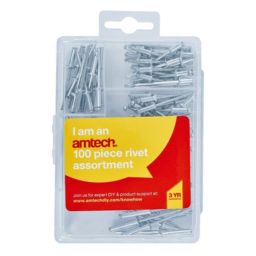 100 Piece Assorted Rivet Set