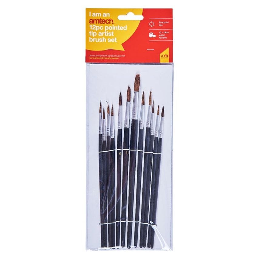 12 Piece Fine Pointed Tip Art Brush Set