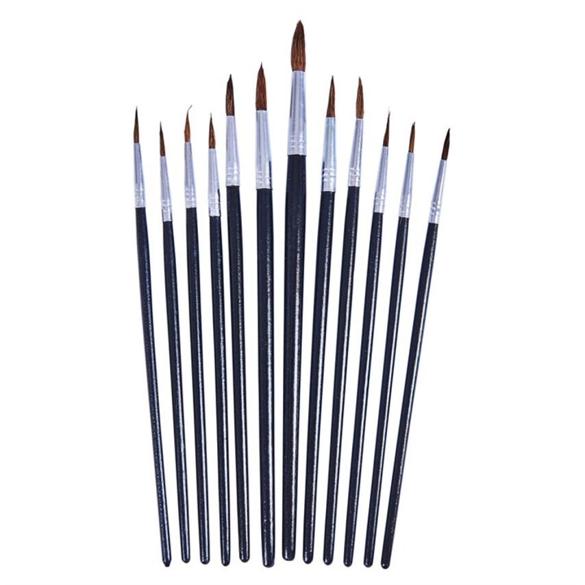 12 Piece Fine Pointed Tip Art Brush Set