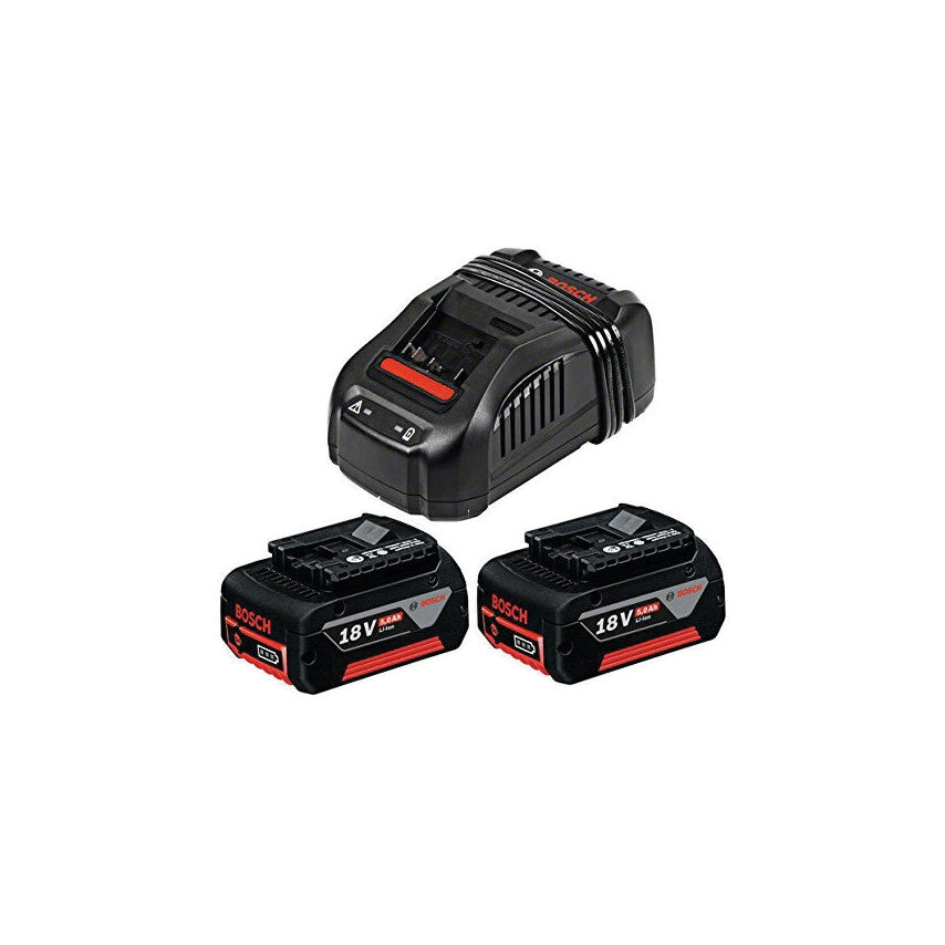 1600A00B8K 18V 2X5.0AH Coolpack + AL1880 Charger