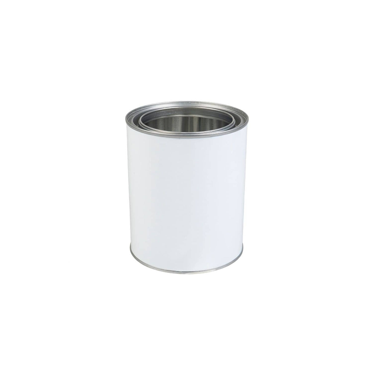 1L Paint Tin