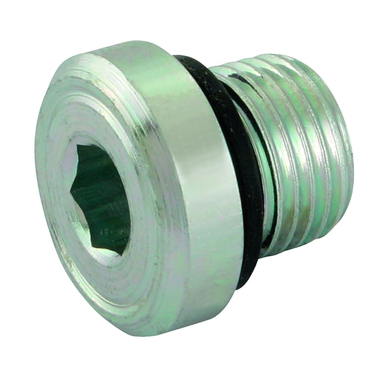 1in BSPP Male Blanking Plug andSEAL NBR - VSR1WD