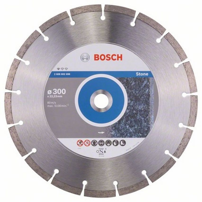 2608602698 300x22.23mm Diamond Disc Stone LPP