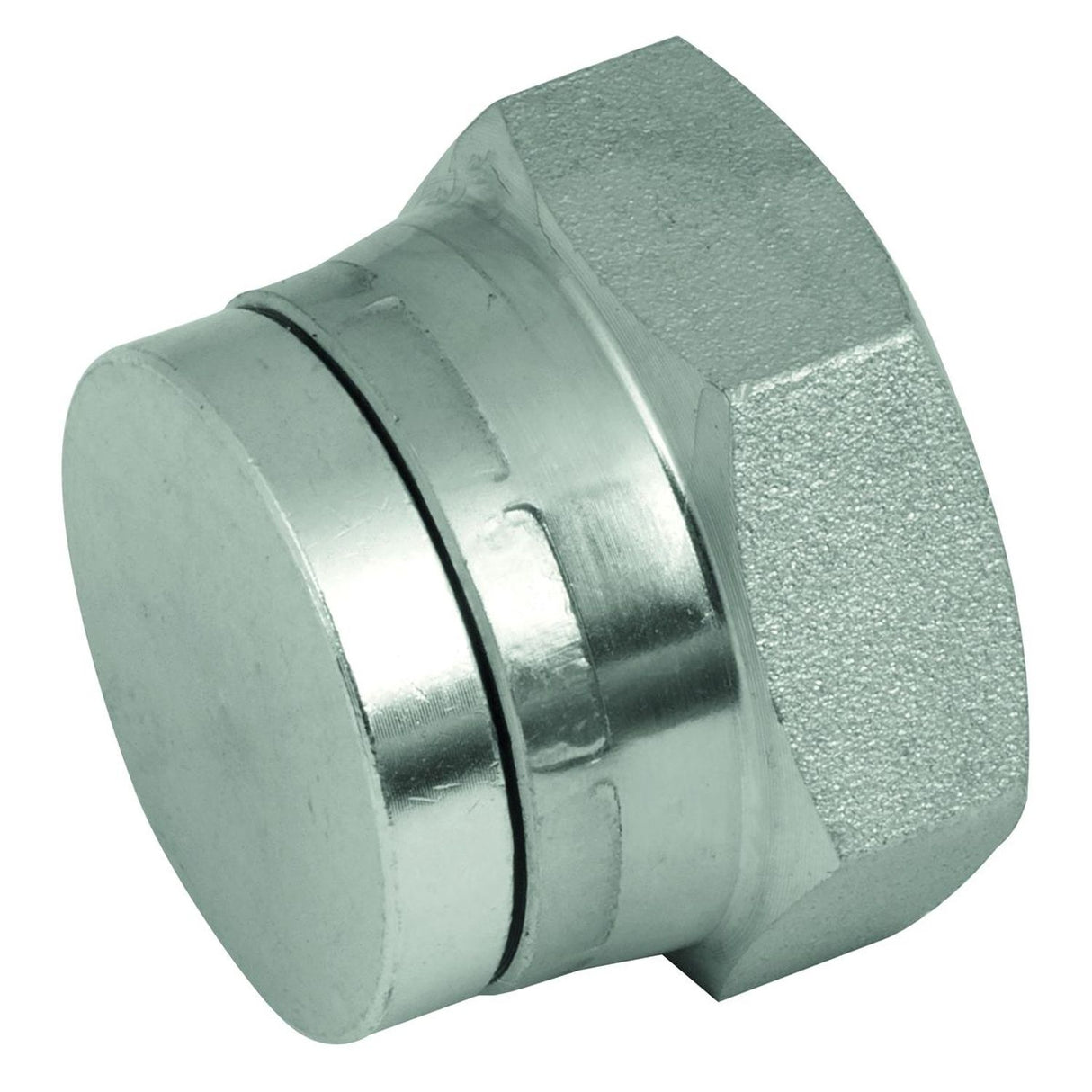 2in BSP Swivel Steel Blanking Cap - 60-6005-32