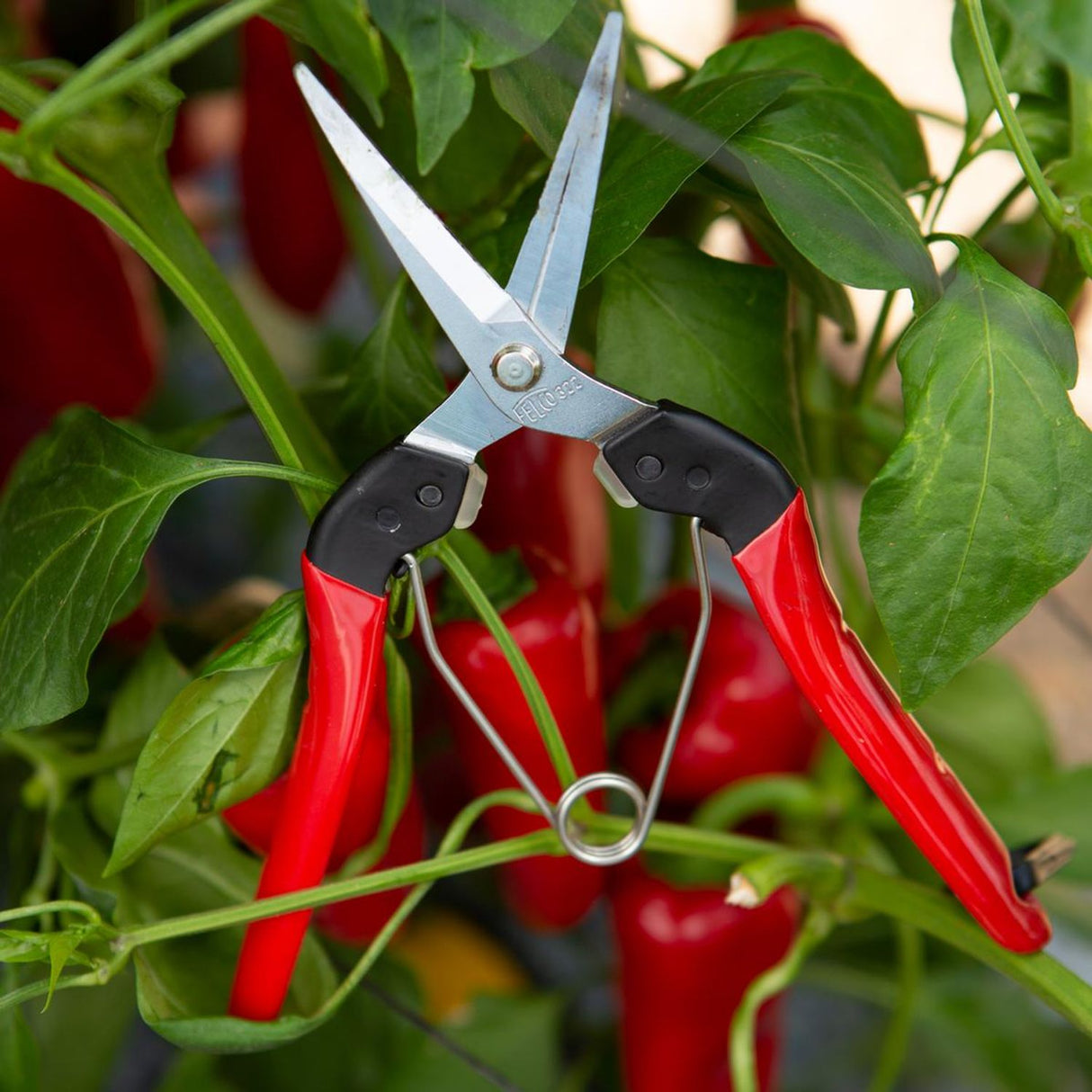 322 Picking and Trimming Snips