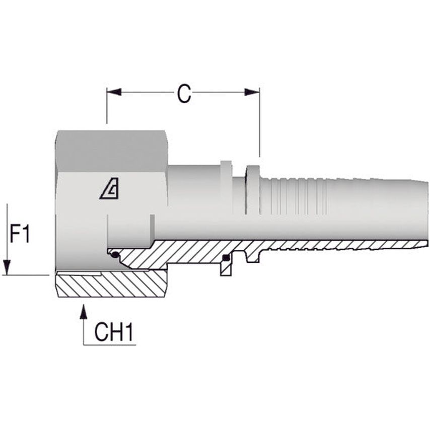 3/4ID-1bspP Female Insert 60 Degrees Cone Seat O Ring Seal