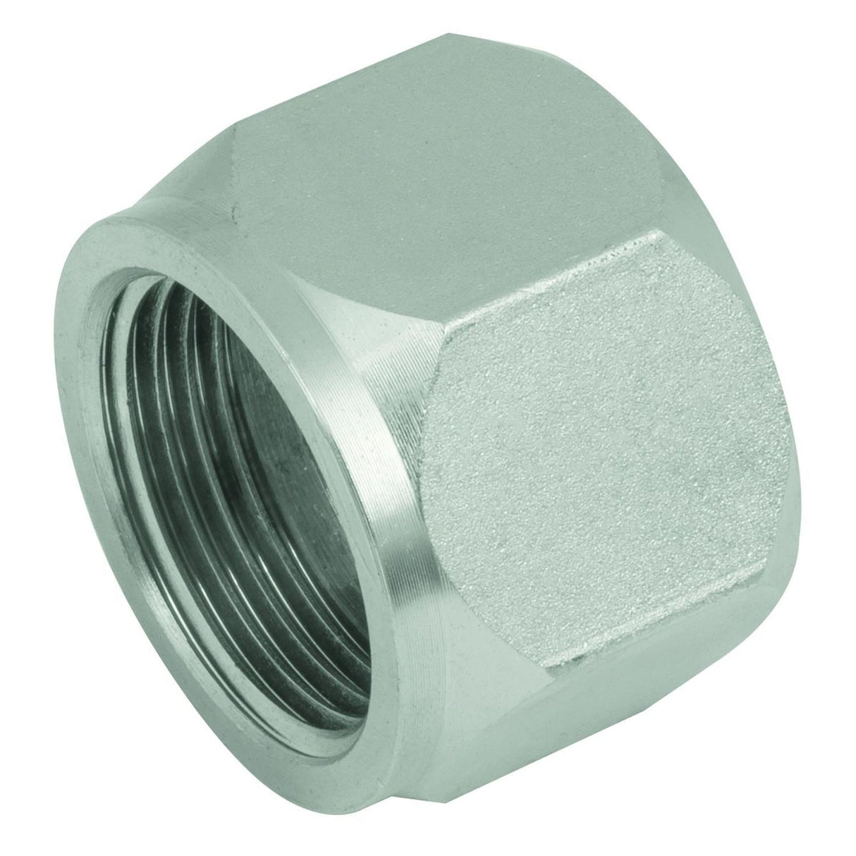 3/4in JIS (bspp) Female Steel Cap - 7688-C-12