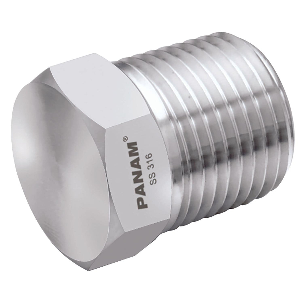 3/4in NPT Male 316 Pipe Plug - PP-12