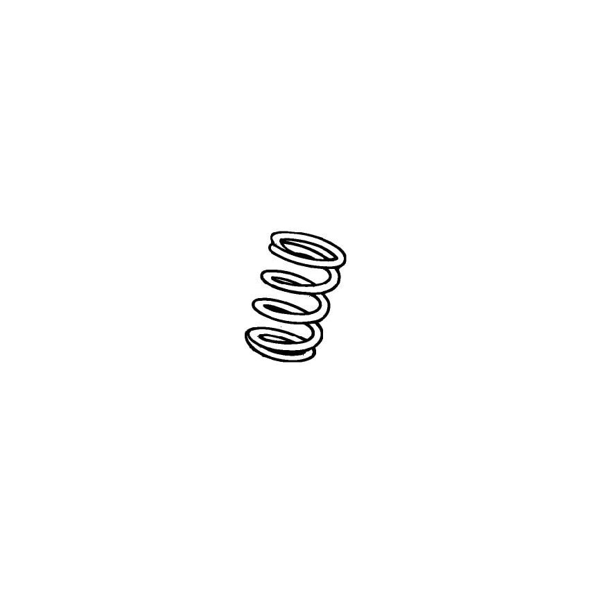 5561 001-58 Helical Coil Spring