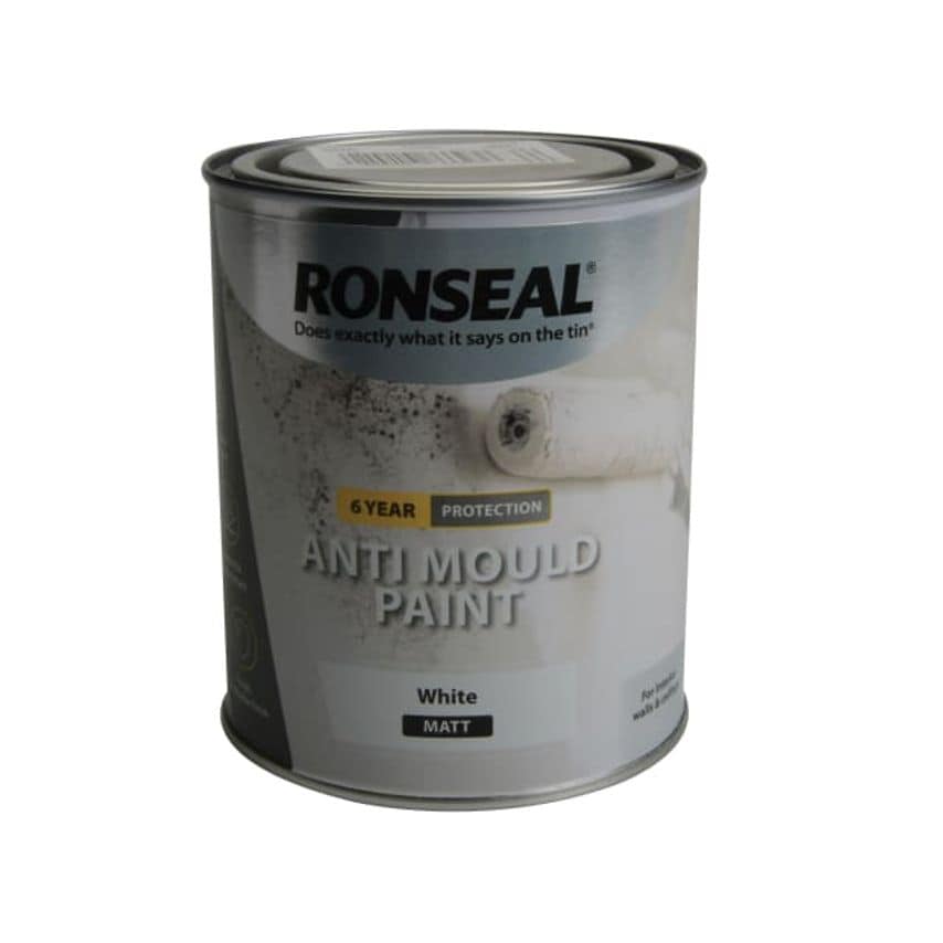 6 Year Anti Mould Paint White Matt 750ml