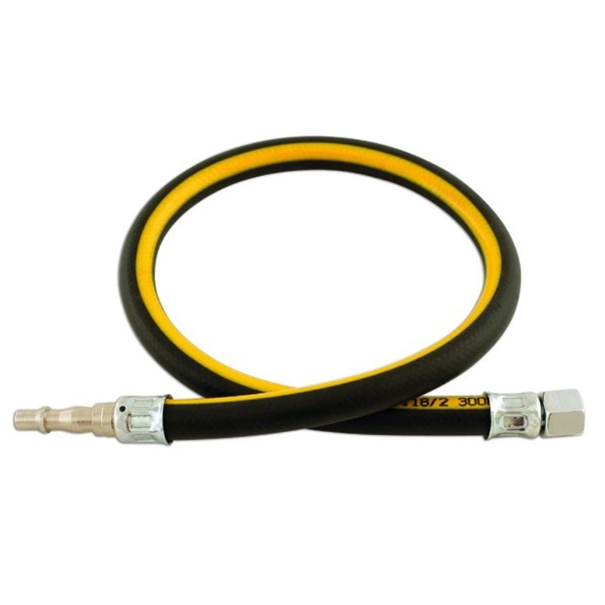 Air Line Whip Hose with Fittings - 1/4in. ID - 0.6m - 33041