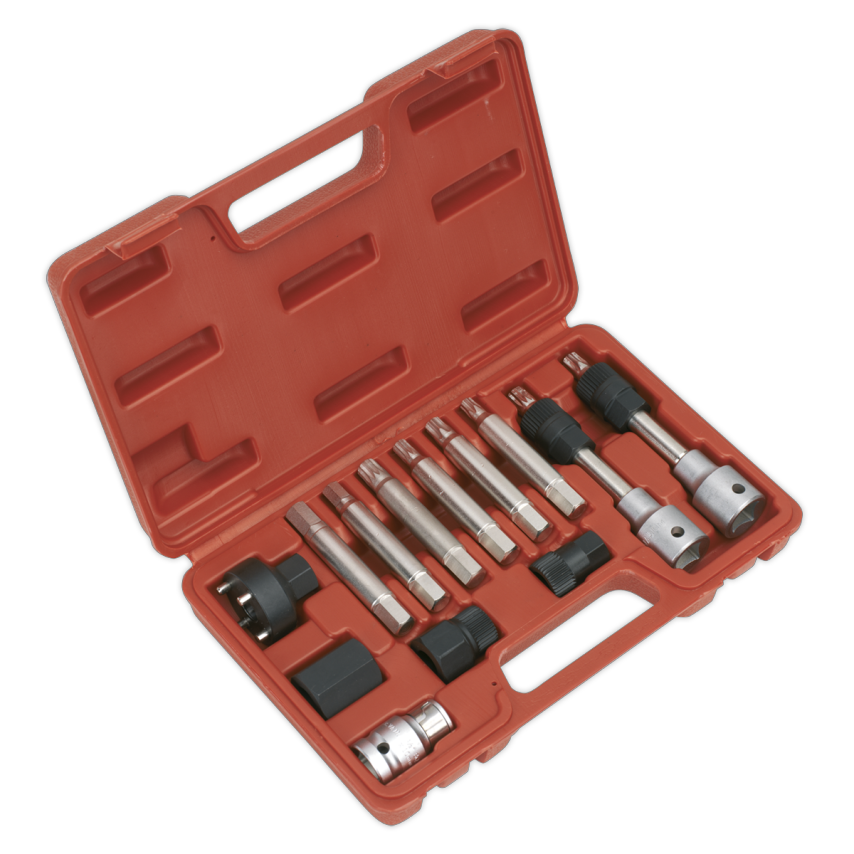 Alternator Freewheel Removal Set 13 Piece