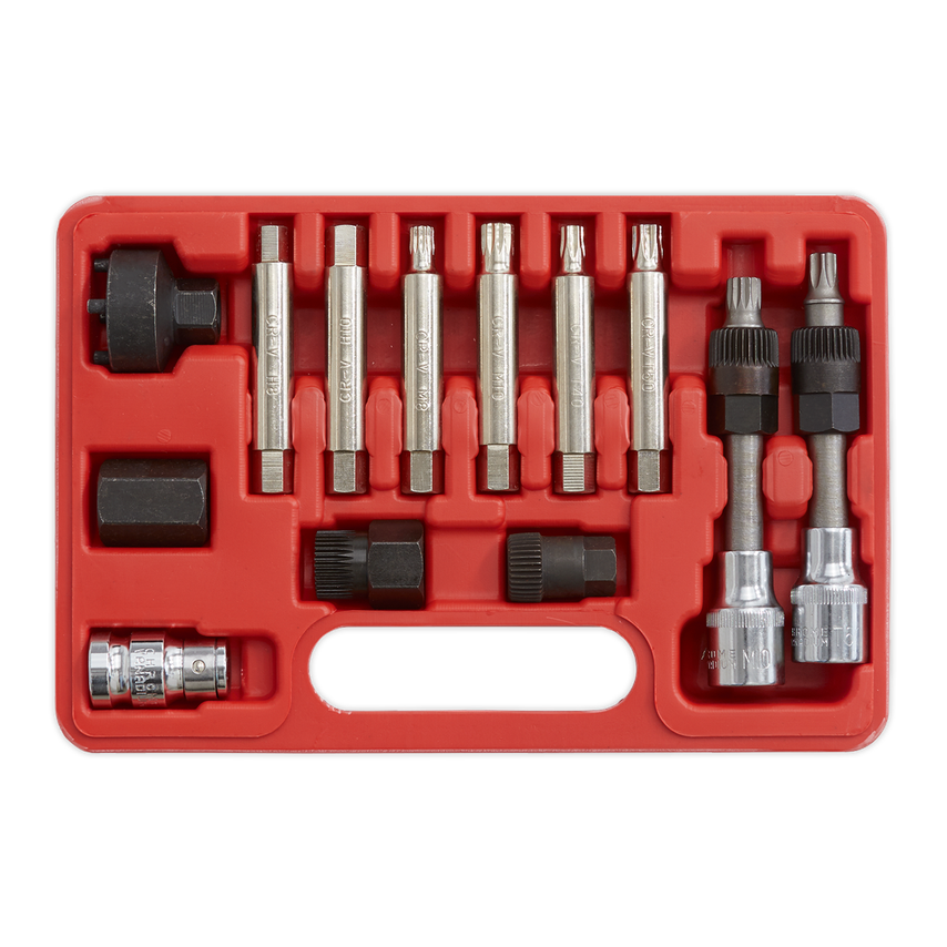 Alternator Freewheel Removal Set 13 Piece