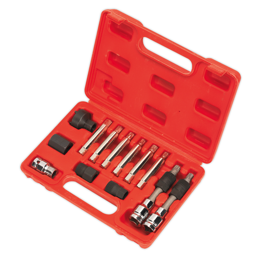 Alternator Freewheel Removal Set 13 Piece