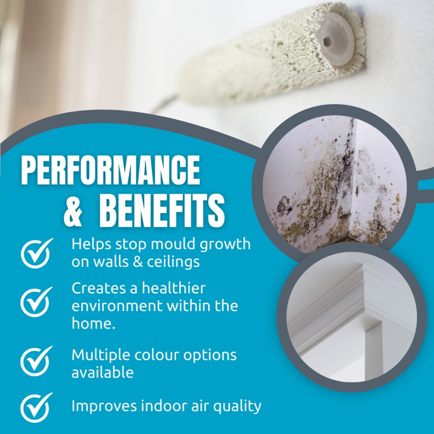 Anti-Mould Paint Devon Cream 5 Liter