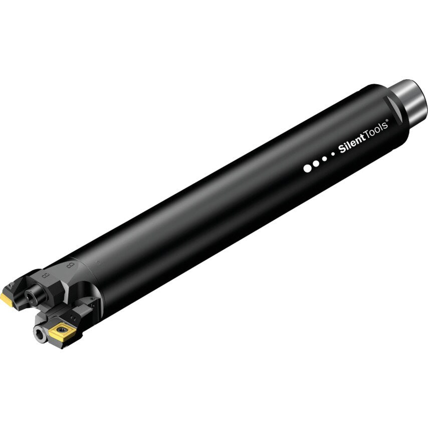 BR20D-116SP12Y-C8S BR20 Twin-Edge Damped Rough Boring Tool