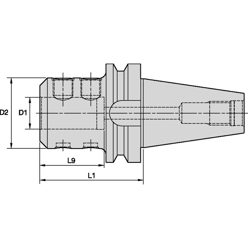 BT30EM12060m End Mill Adapter Weldon EM BT30