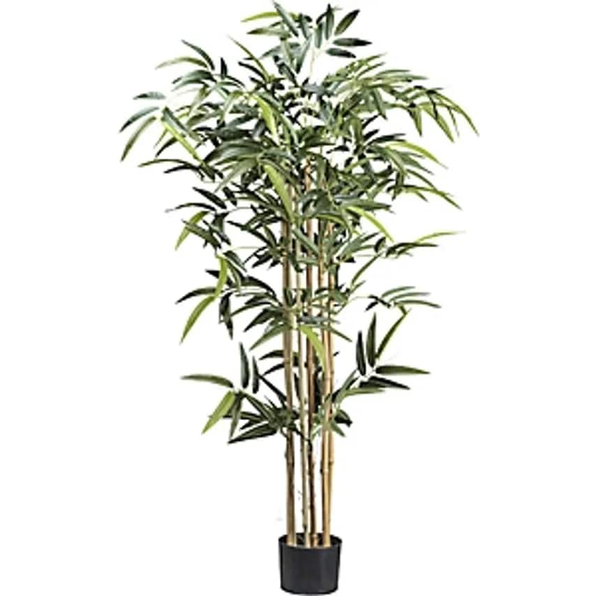 Bamboo with Natural Stalks, Plastic Pot, Height 1300 mm