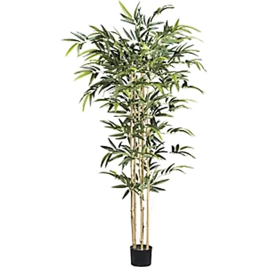 Bamboo with Natural Stalks, Plastic Pot, Height 1500 mm