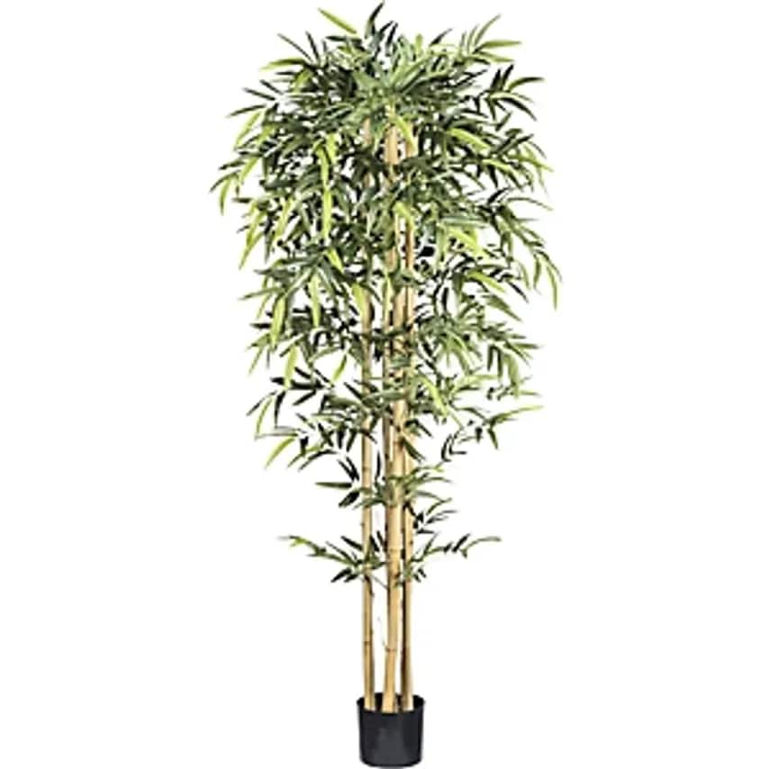 Bamboo with Natural Stalks, Plastic Pot, Height 2100 mm