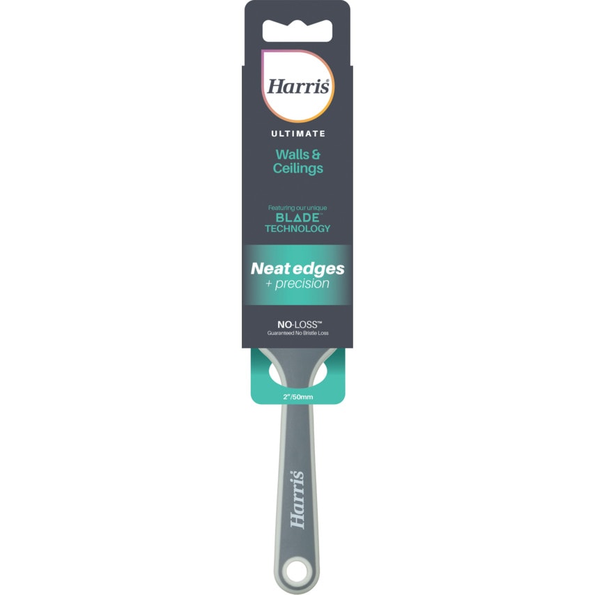 Blade Paint Brush, 50mm, for Walls & Ceilings