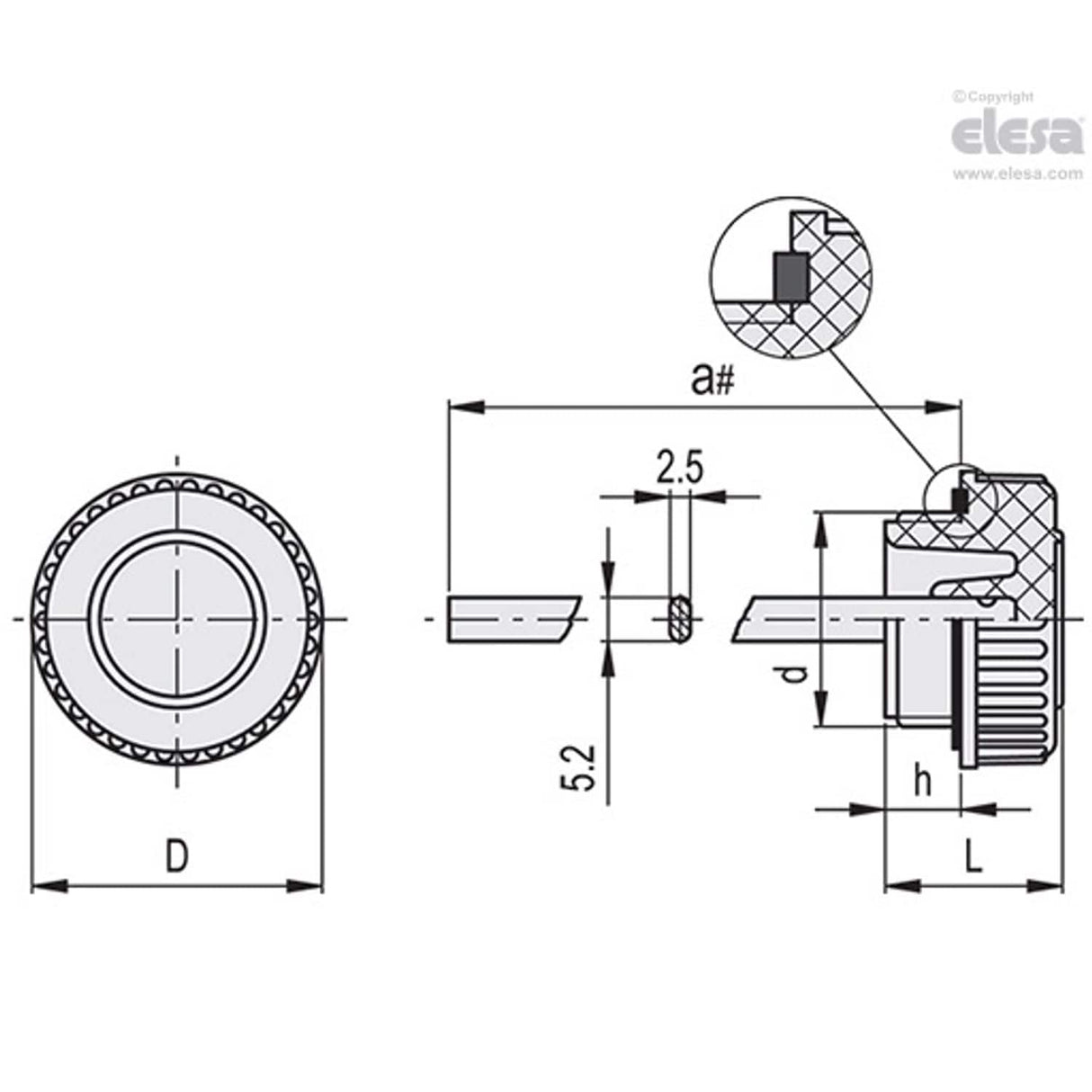 Blanking plug-T.240-3/8+a