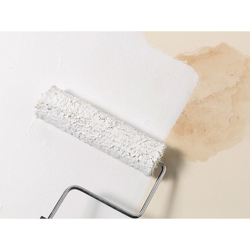 Bulls Eye 1-2-3 Plus Primer, Sealer & Stain Killer White 2.5 litre ZINBE123P25L