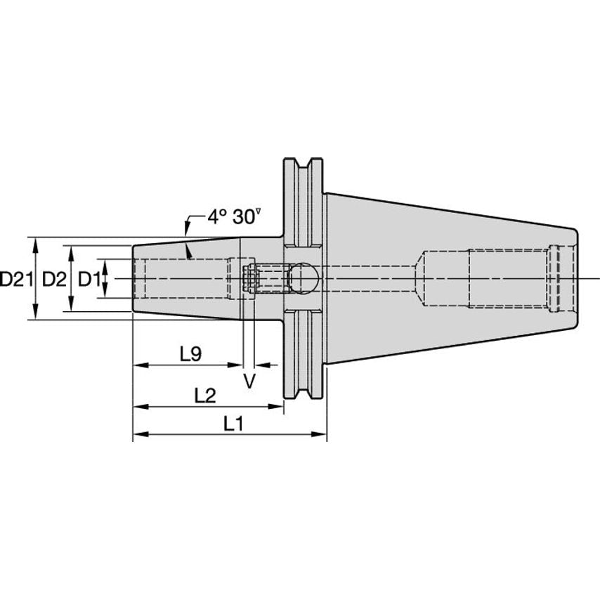 CV40TTGL025315 CV40 TT GL D=1/4" L=3.15''