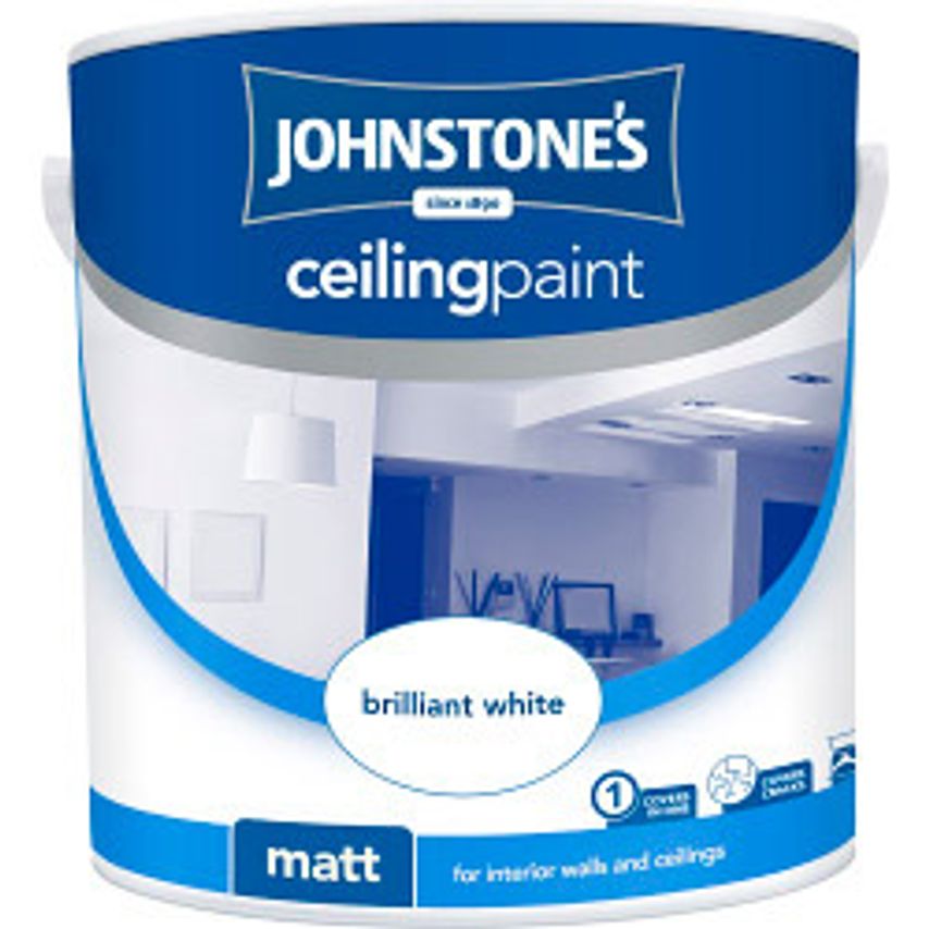 Ceiling Paint 2.5L Brilliant White