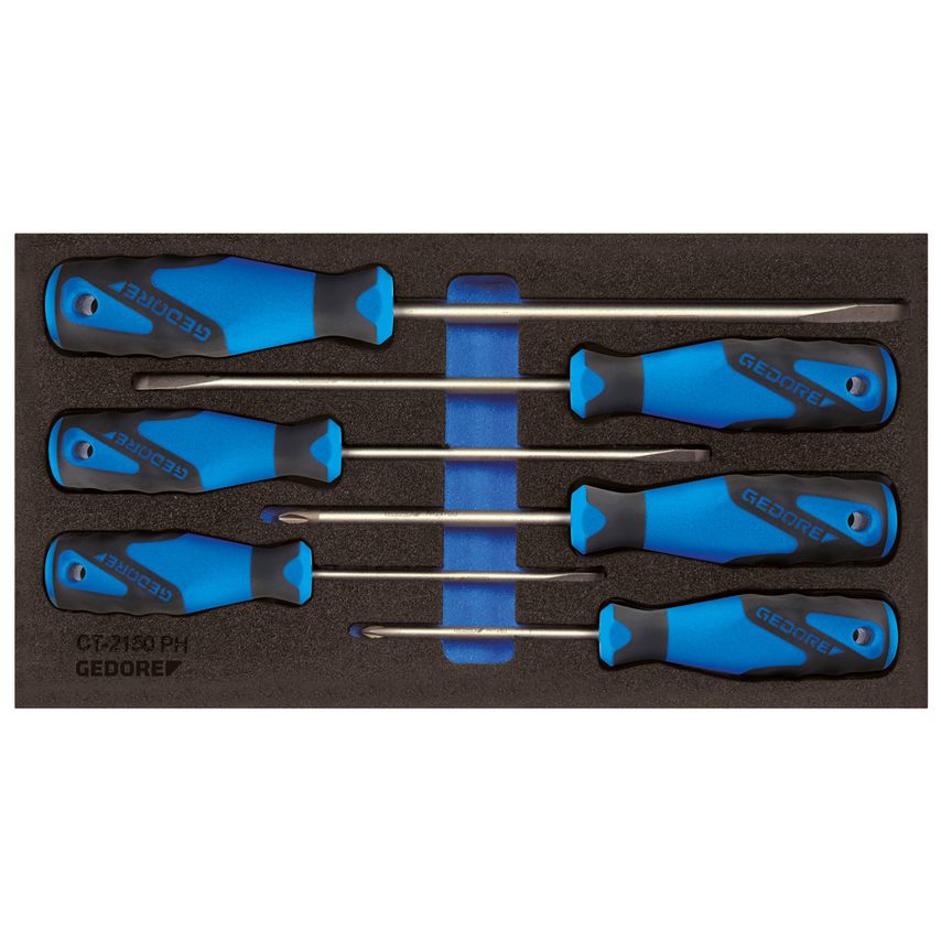 Check-Tool insert with assortment