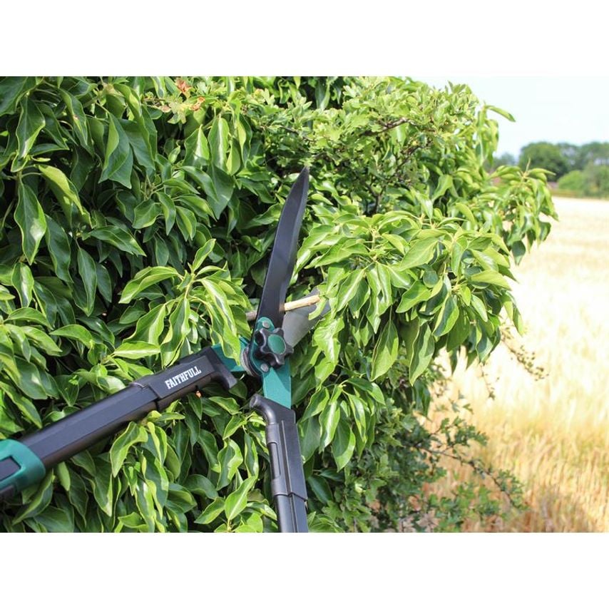 Countryman Hedge Shear 300mm (12in) FAICOUHS12
