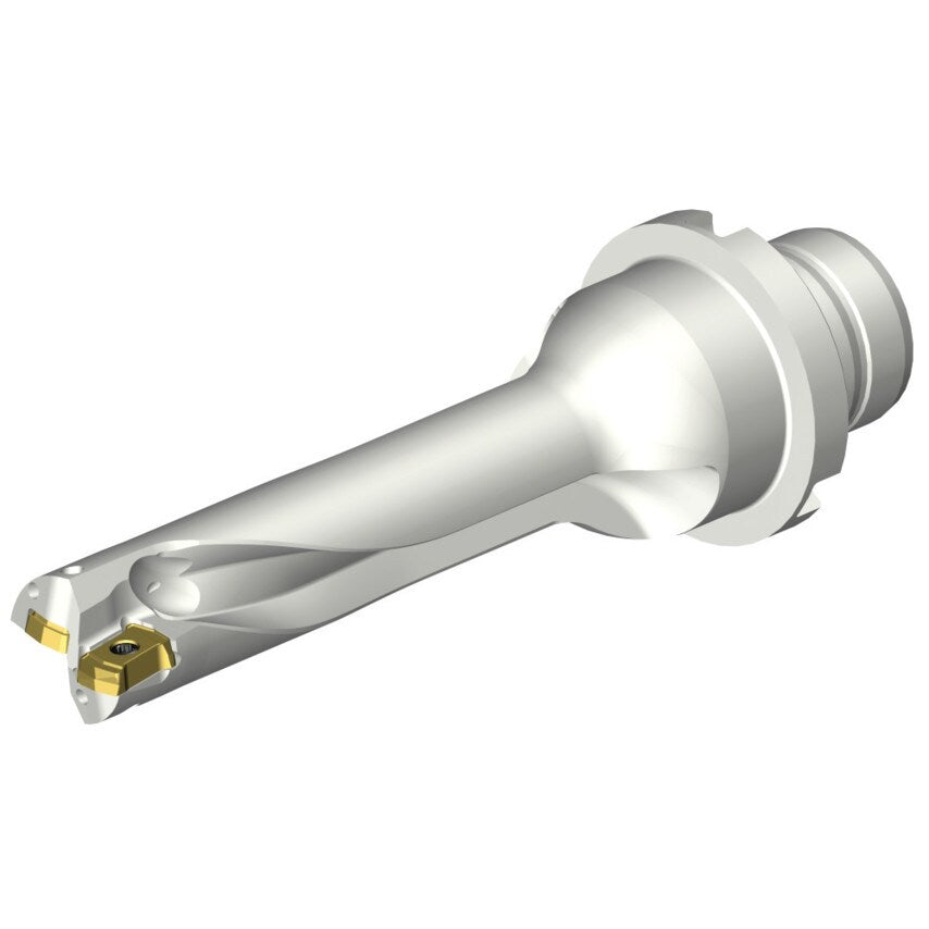 DS20-D1500DM20-04 DS20 Indexable Insert Drill