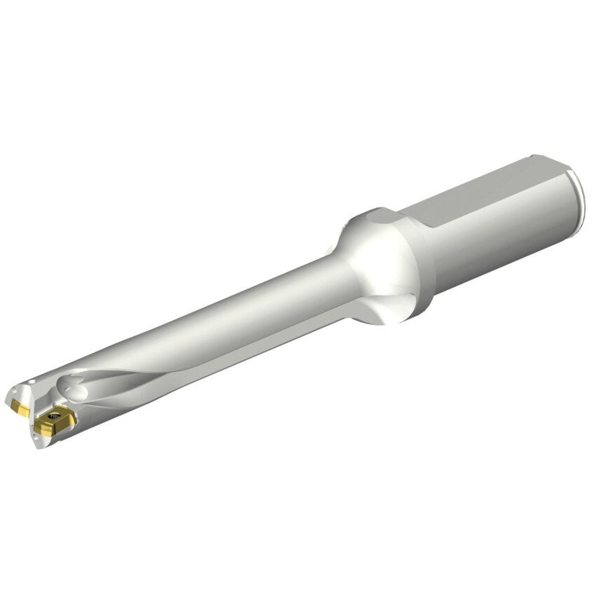 DS20-D1500L20-06 DS20 Indexable Insert Drill