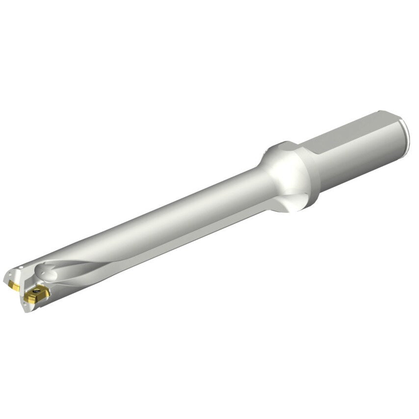 DS20-D1666LX19-07 DS20 Indexable Insert Drill