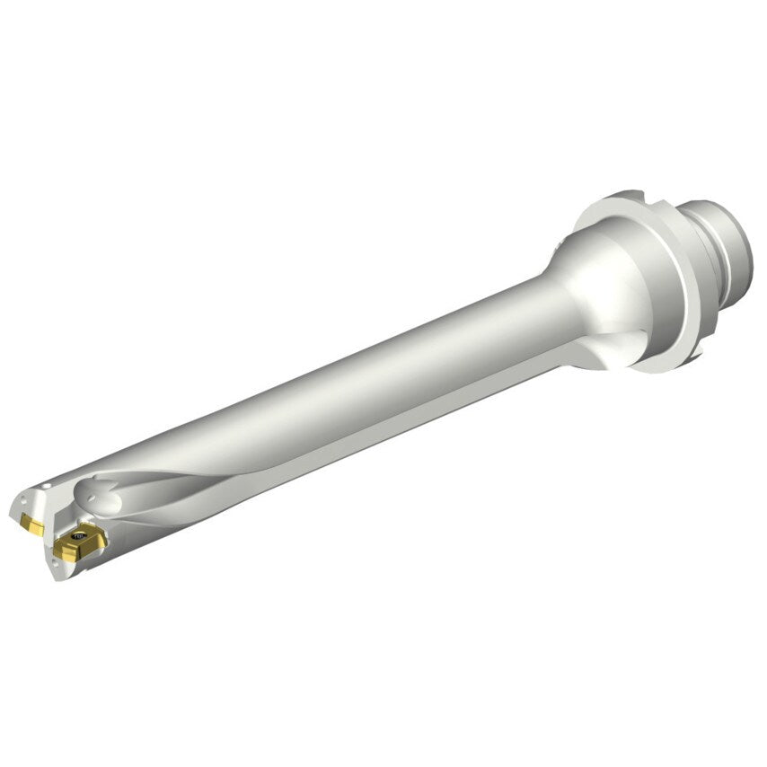 DS20-D1700DM20-07 DS20 Indexable Insert Drill