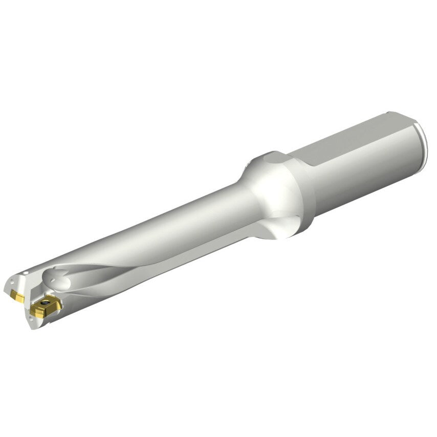 DS20-D1700L20-05 DS20 Indexable Insert Drill