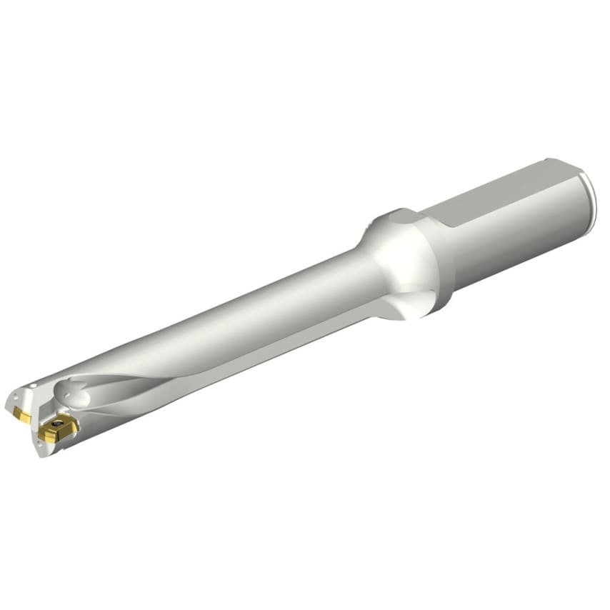 DS20-D1700L20-06 DS20 Indexable Insert Drill