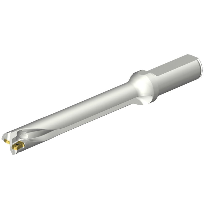 DS20-D1700L20-07 DS20 Indexable Insert Drill