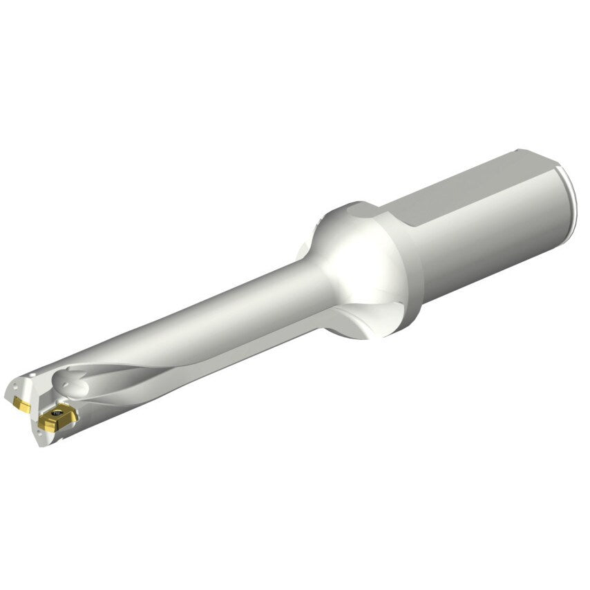 DS20-D1750L25-05 DS20 Indexable Insert Drill