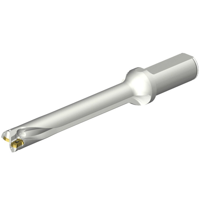 DS20-D1900L25-07 DS20 Indexable Insert Drill