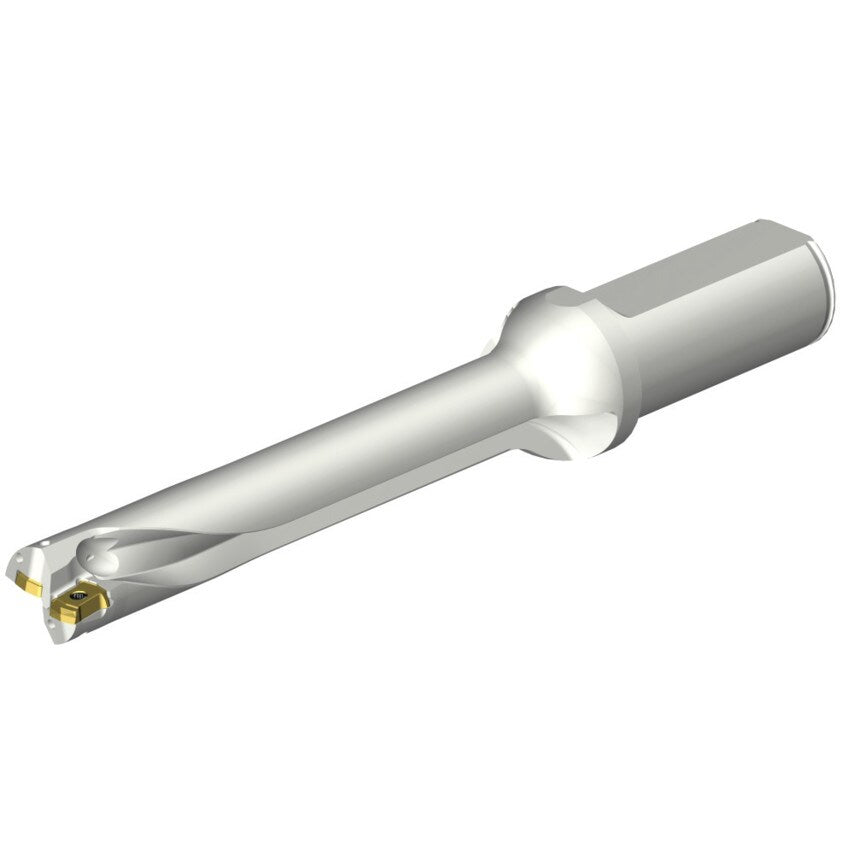 DS20-D1905LX25-06 DS20 Indexable Insert Drill