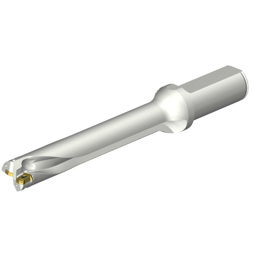 DS20-D2100L25-06 DS20 Indexable Insert Drill