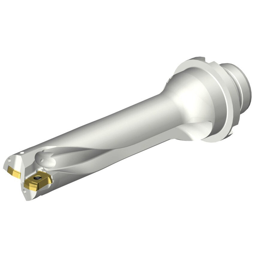 DS20-D2223DM25-04 DS20 Indexable Insert Drill