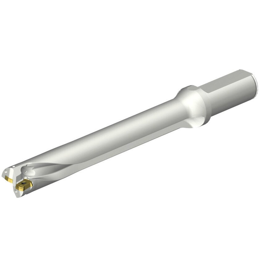 DS20-D2400L25-07 DS20 Indexable Insert Drill