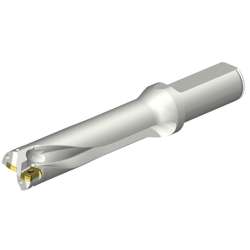 DS20-D2500L25-04 DS20 Indexable Insert Drill