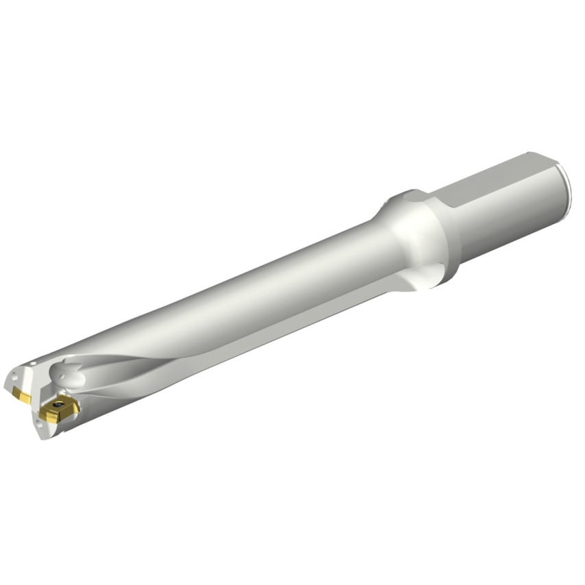 DS20-D2500L25-06 DS20 Indexable Insert Drill