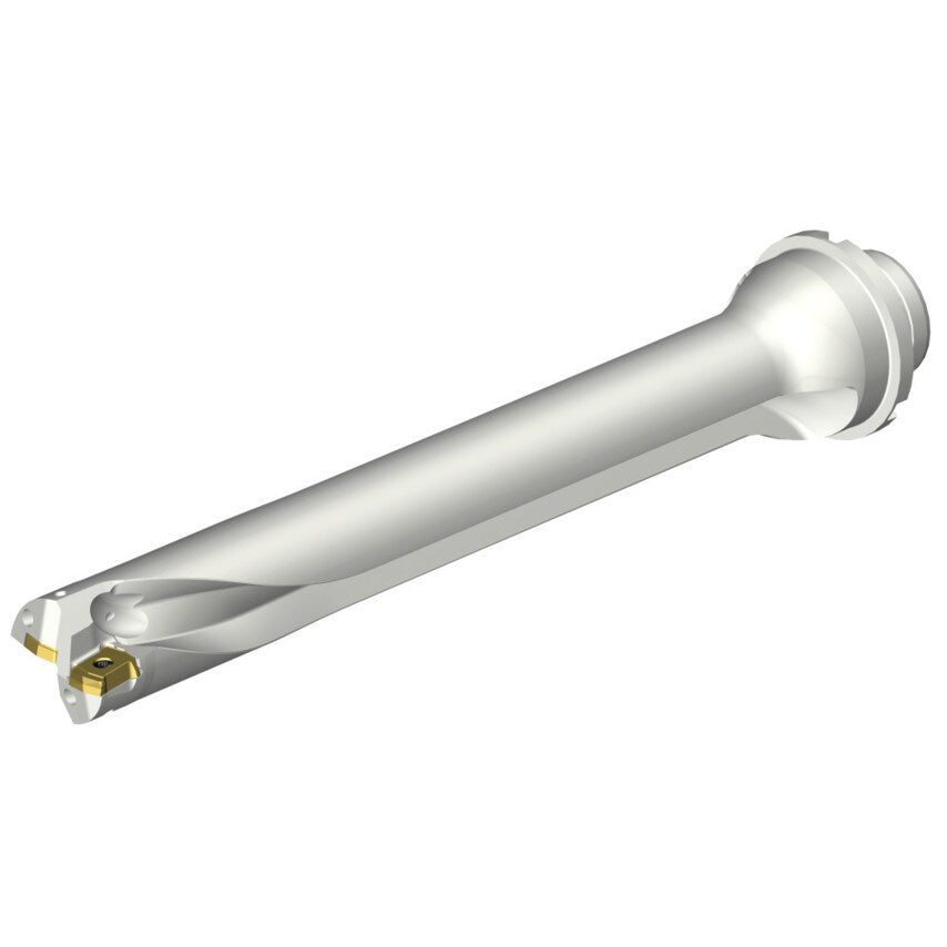 DS20-D3000DM32-07 DS20 Indexable Insert Drill