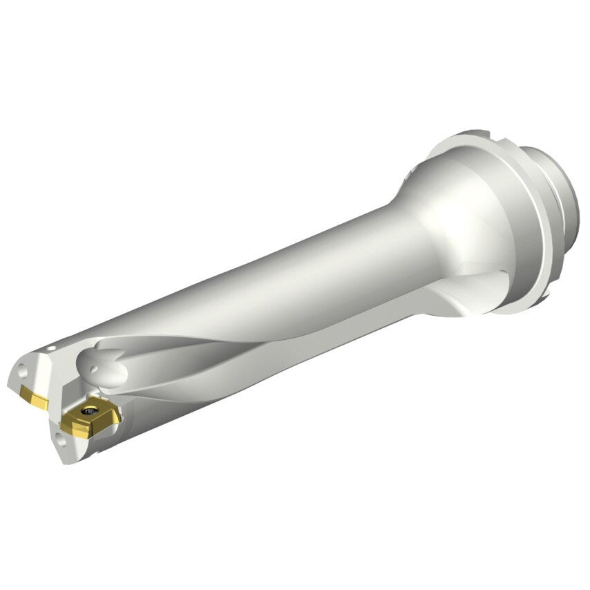 DS20-D3100DM32-04 DS20 Indexable Insert Drill