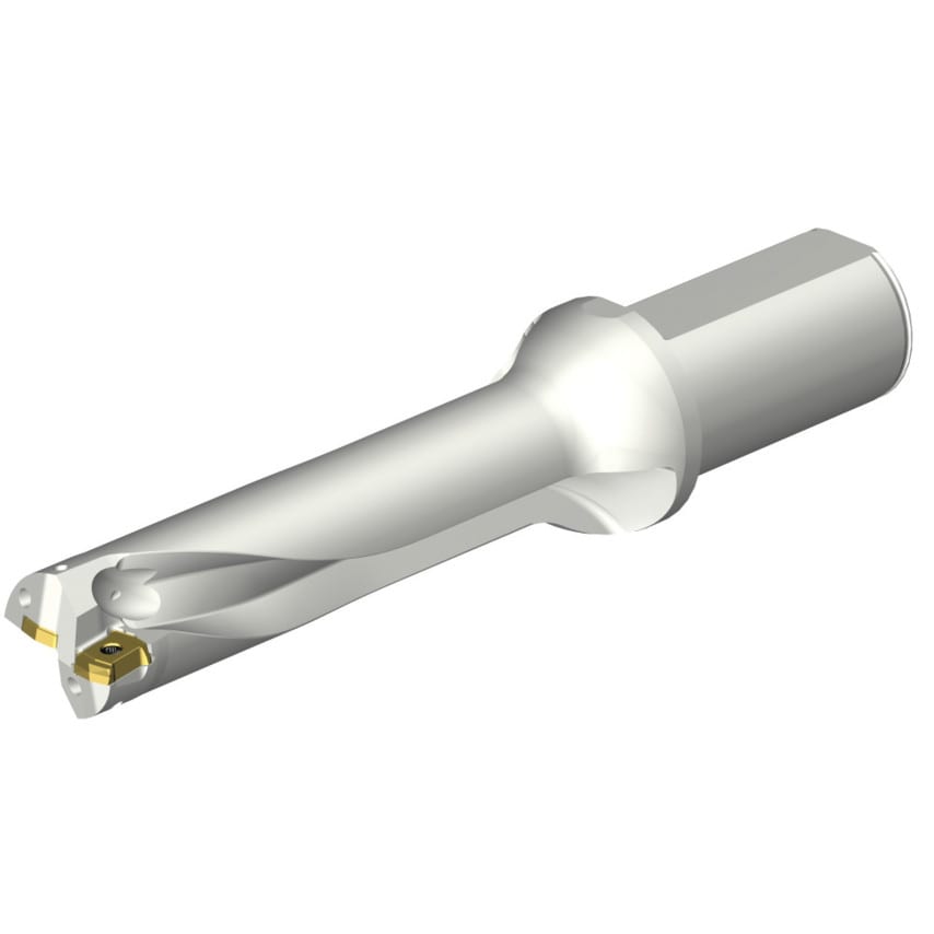 DS20-D3175LX38-04 DS20 Indexable Insert Drill