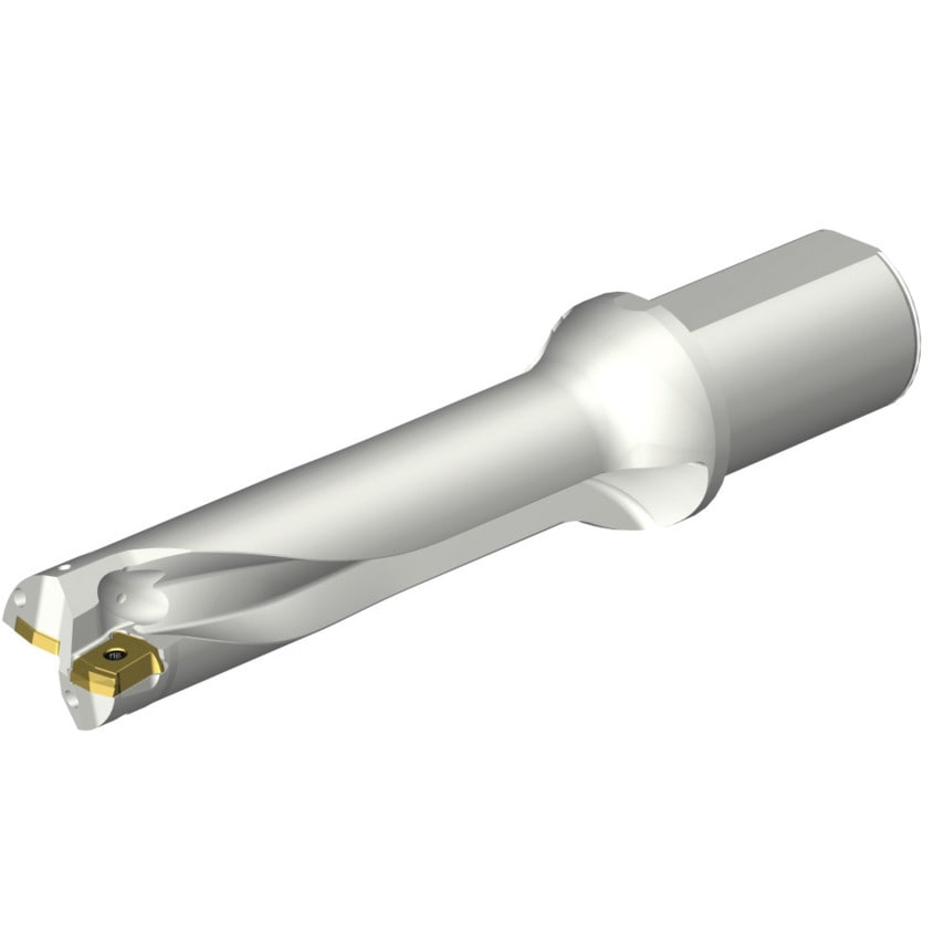 DS20-D4200L50-04 DS20 Indexable Insert Drill